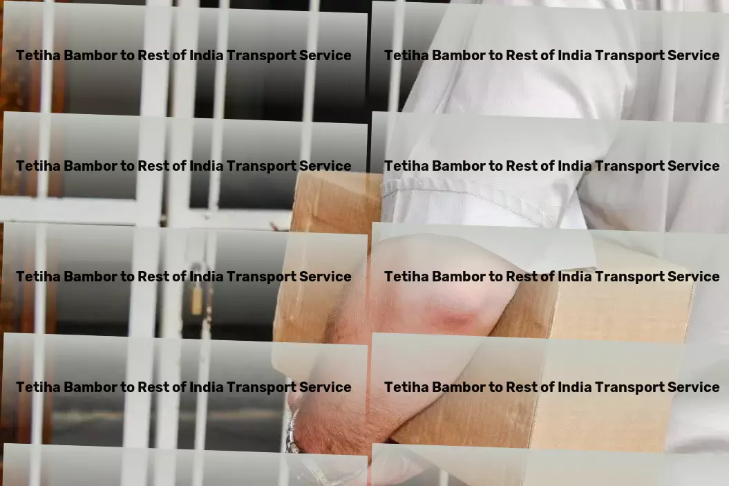 Tetiha Bambor to Rest Of India Transport Elevate your city travels with our revolutionary approach. - Large-scale cargo moving