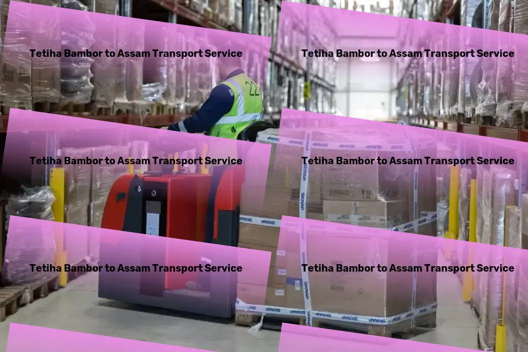 Tetiha Bambor to Assam Transport High-capacity transport and shipment