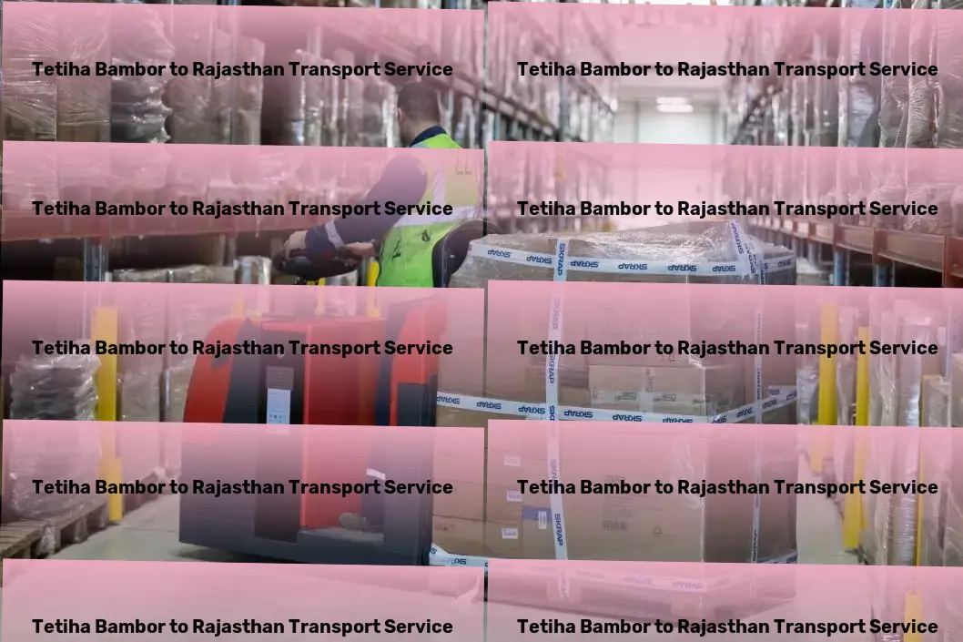 Tetiha Bambor to Rajasthan Transport City-to-city logistics services