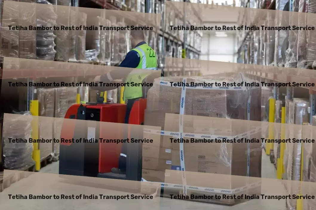 Tetiha Bambor to Rest Of India Transport Full-scale freight delivery