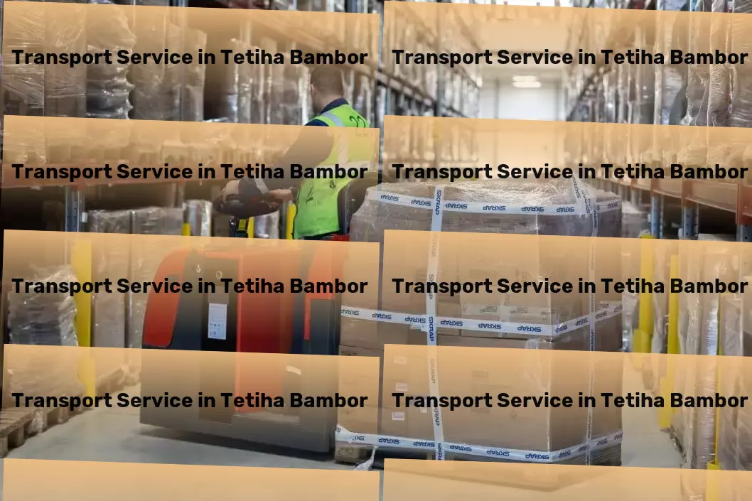 Household Goods Transport in Tetiha Bambor, Bihar (BR) Integrated goods forwarding