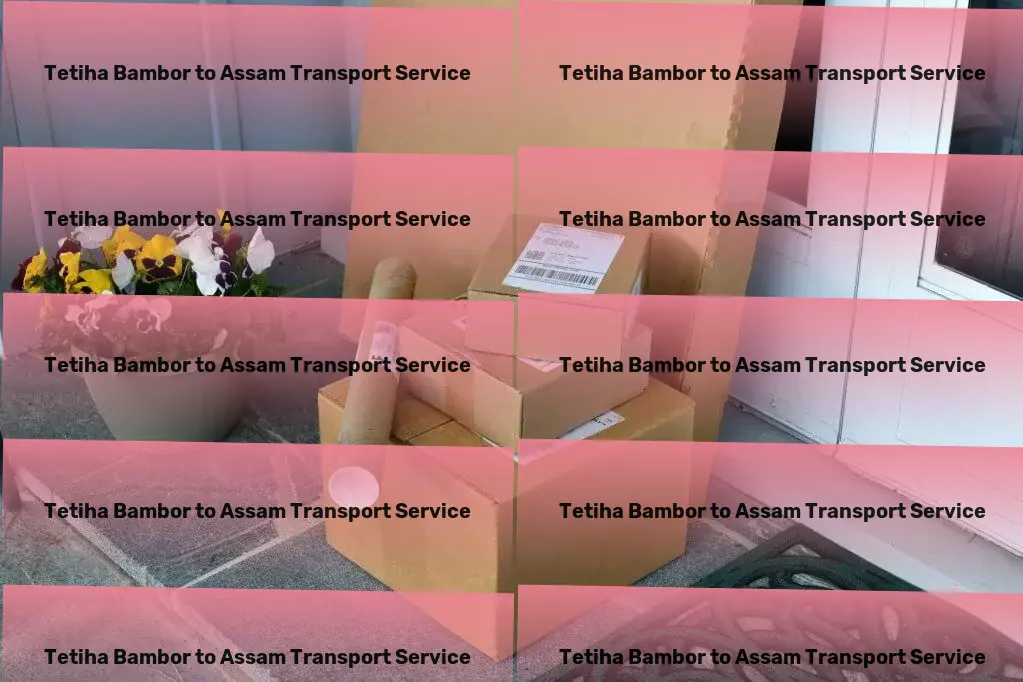 Tetiha Bambor to Assam Transport Industrial freight services