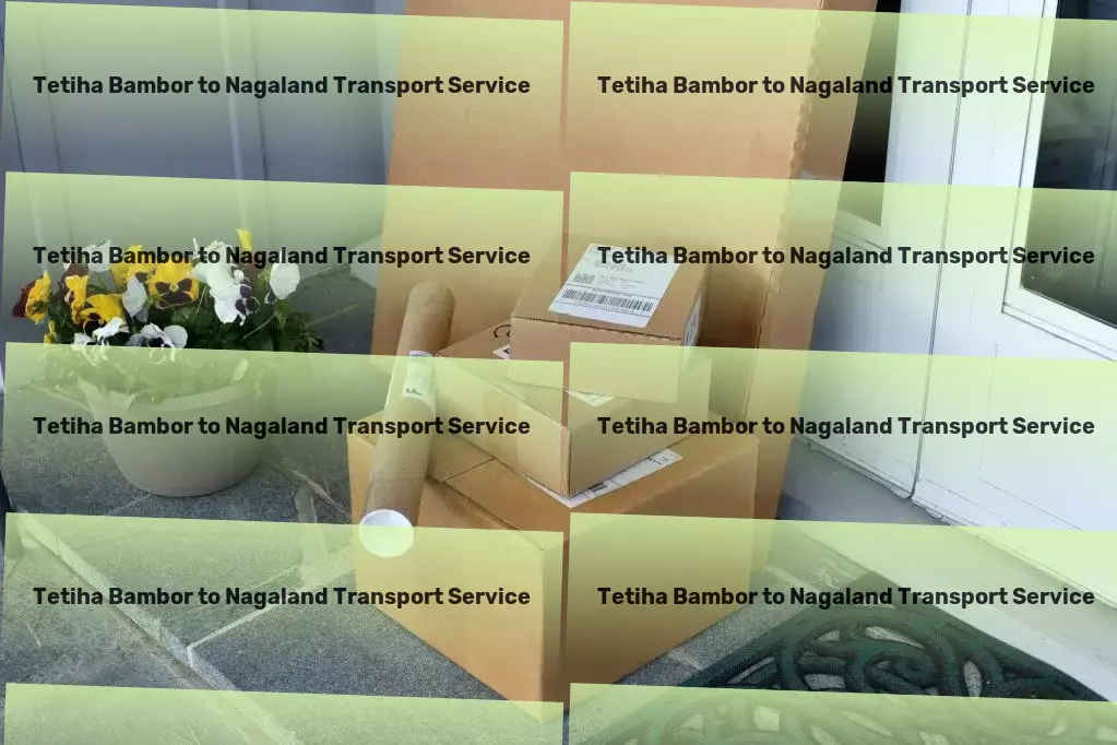 Tetiha Bambor to Nagaland Transport Integrated goods forwarding