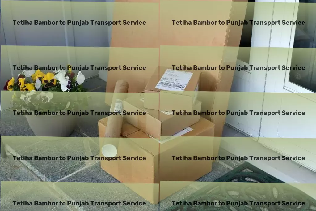 Tetiha Bambor to Punjab Transport Long-haul package delivery