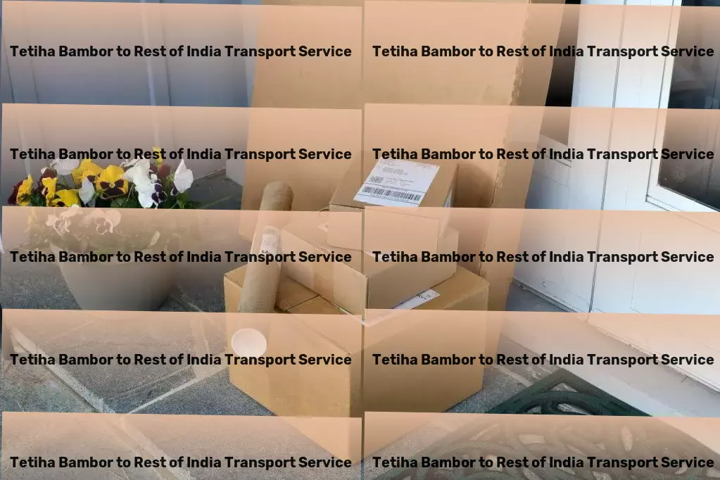 Tetiha Bambor to Rest Of India Transport High-capacity logistics solutions