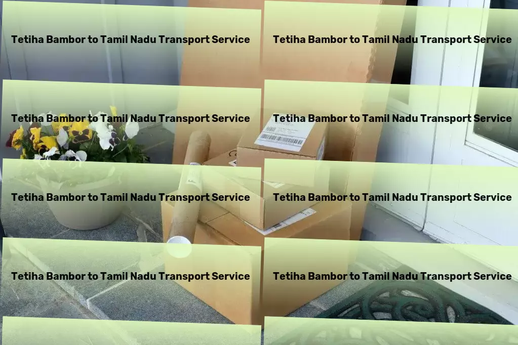 Tetiha Bambor to Tamil Nadu Transport National package services